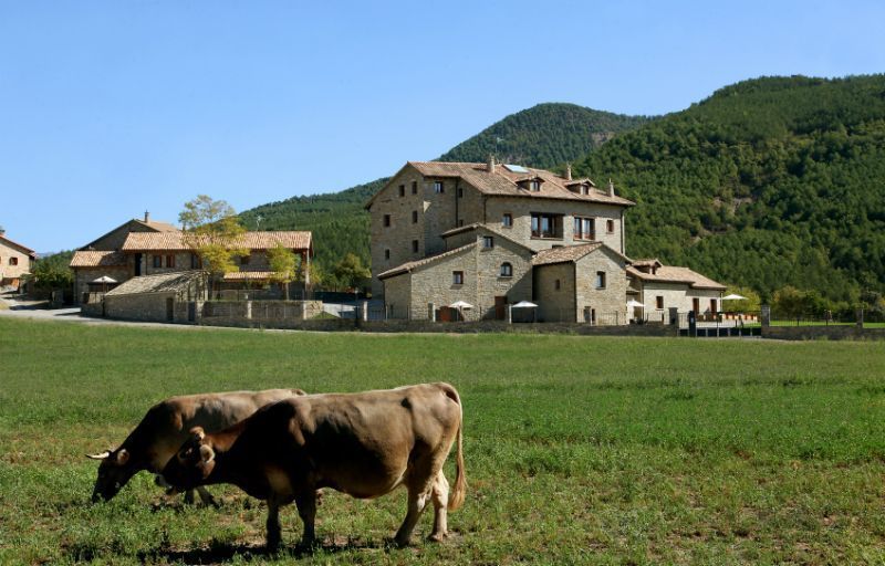 5 tips for enjoying rural tourism with all five senses
