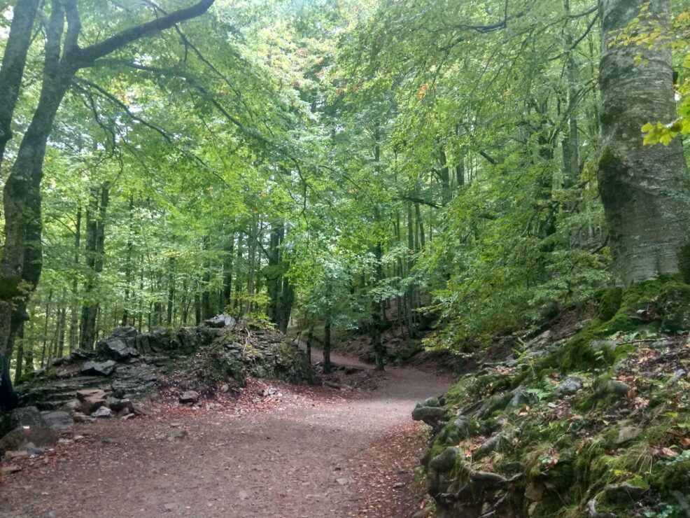 Disfruta del Pirineo aragonés mes a mes