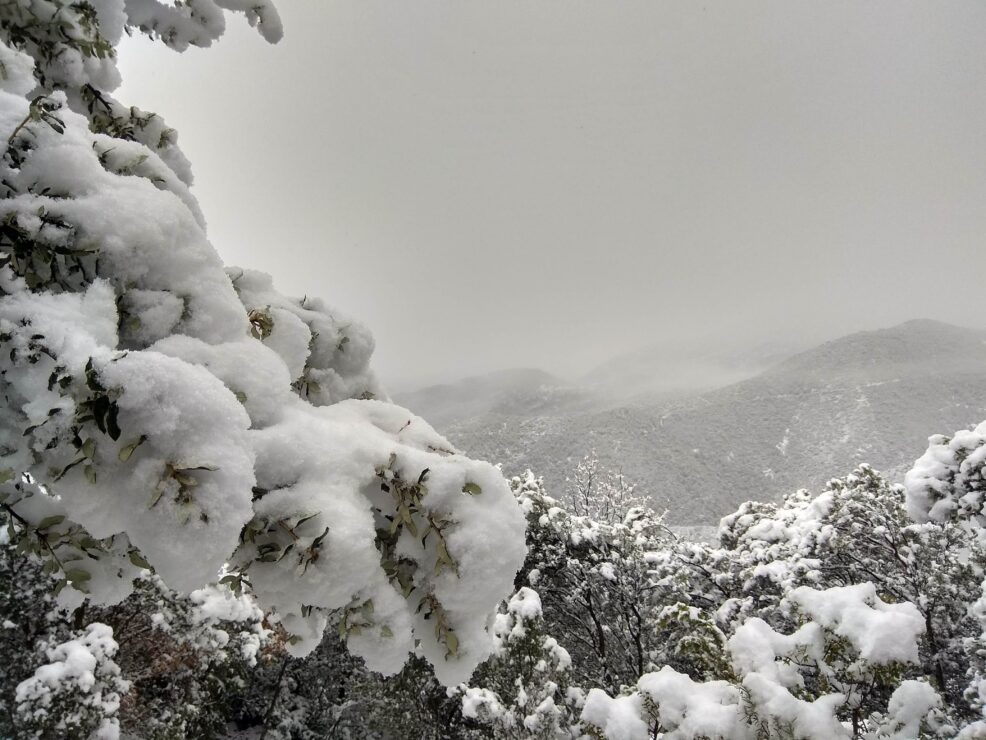 Disfruta del Pirineo aragonés mes a mes