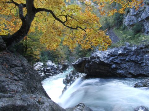 Enjoy the Aragonese Pyrenees month by month