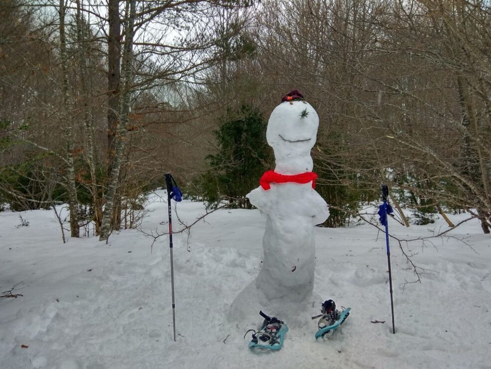 Sácale partido a la nieve del Pirineo