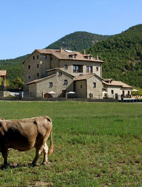 Pyrenean Houses