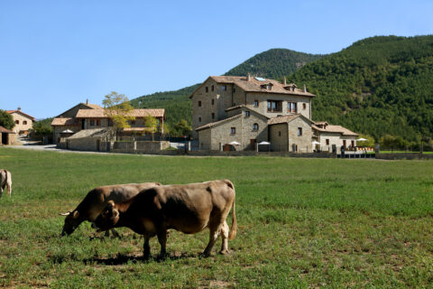 Casa rural en Ainsa