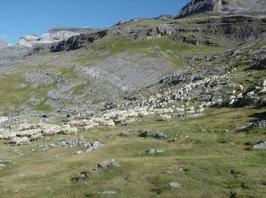 El Pirineo de Huesca y Ordesa. Naturaleza y mucho más.